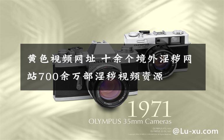 黄色视频网址 十余个境外淫秽网站700余万部淫秽视频资源
