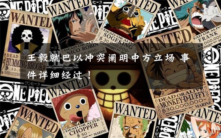 王毅就巴以冲突阐明中方立场 事件详细经过!