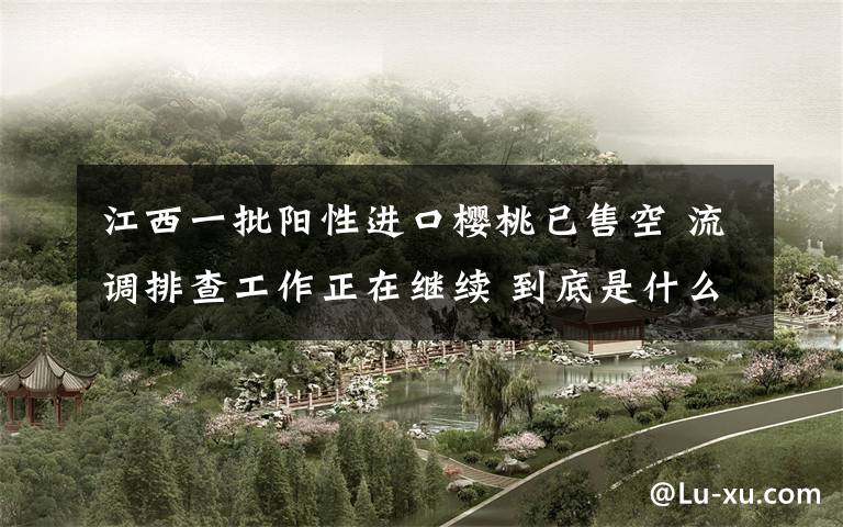 江西一批阳性进口樱桃已售空 流调排查工作正在继续 到底是什么状况?