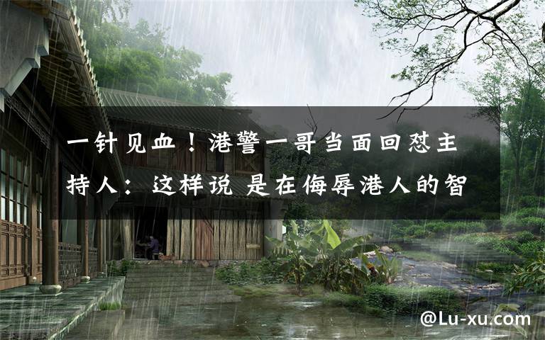 一针见血!港警一哥当面回怼主持人:这样说 是在侮辱港人的智慧