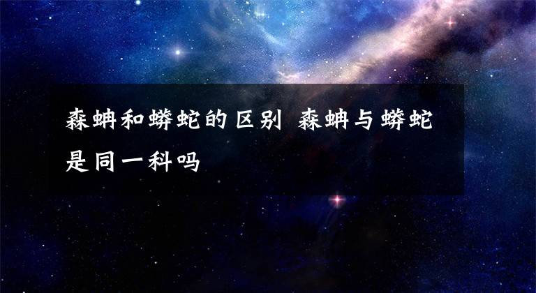 森蚺和蟒蛇的区别 森蚺与蟒蛇是同一科吗