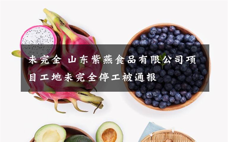 未完全 山东紫燕食品有限公司项目工地未完全停工被通报