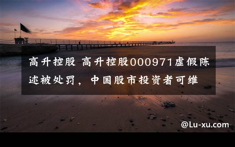 高升控股 高升控股000971虚假陈述被处罚,中国股市投资者可维权