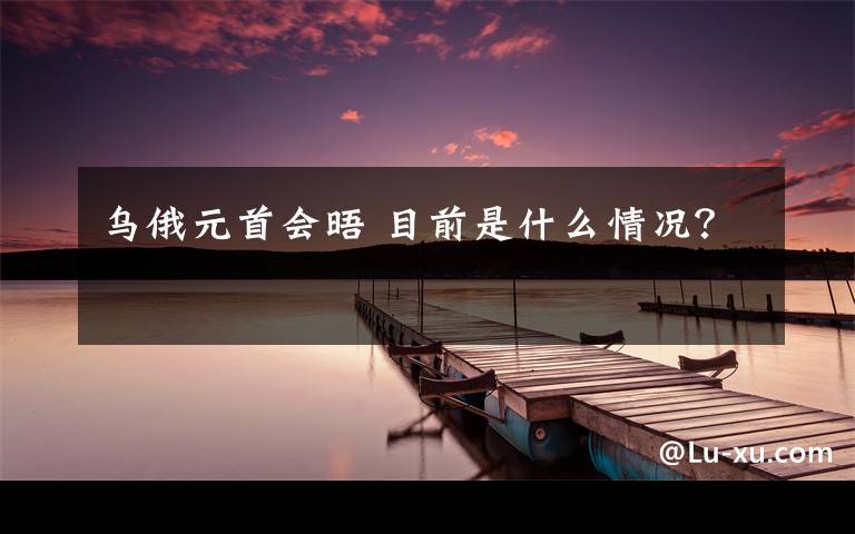 乌俄元首会晤 目前是什么情况?