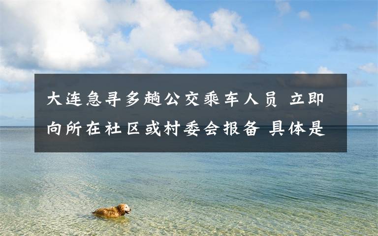 大连急寻多趟公交乘车人员 立即向所在社区或村委会报备 具体是啥情况?