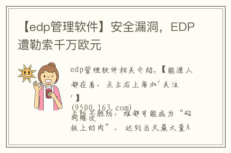 【edp管理软件】安全漏洞,EDP遭勒索千万欧元