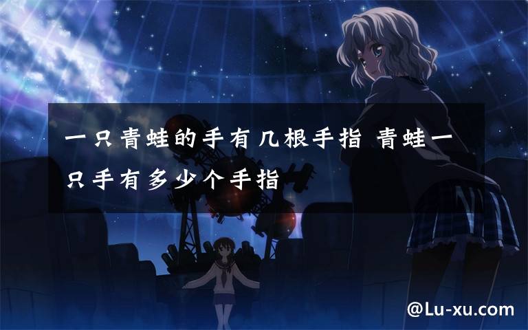 一只青蛙的手有几根手指 青蛙一只手有多少个手指