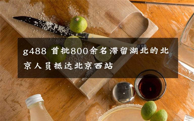g488 首批800余名滞留湖北的北京人员抵达北京西站