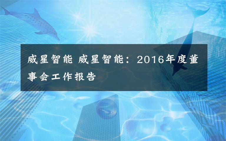 威星智能 威星智能:2016年度董事会工作报告