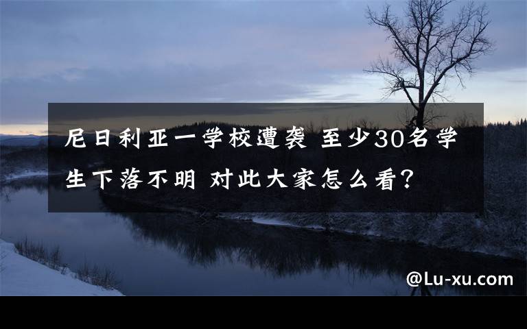 尼日利亚一学校遭袭 至少30名学生下落不明 对此大家怎么看?