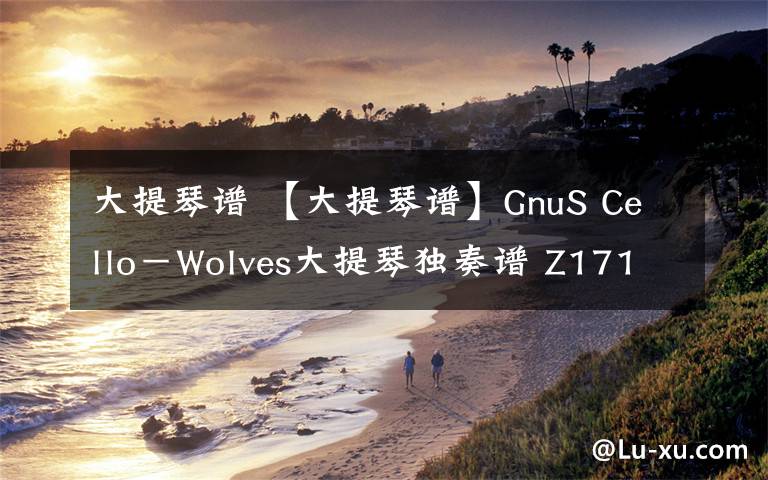 大提琴谱 【大提琴谱】GnuS Cello-Wolves大提琴独奏谱 Z17121803
