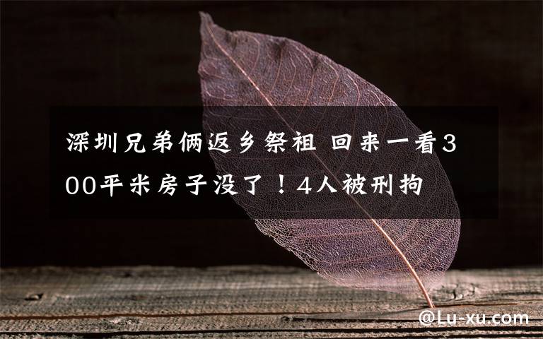 深圳兄弟俩返乡祭祖 回来一看300平米房子没了!4人被刑拘