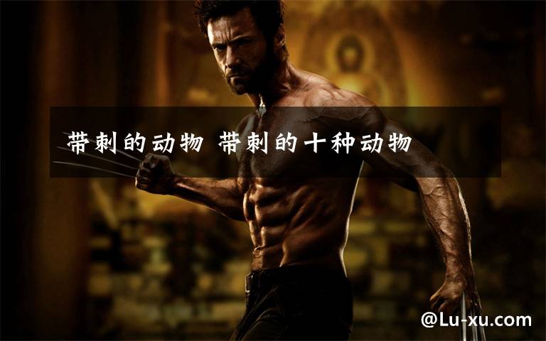 带刺的动物 带刺的十种动物