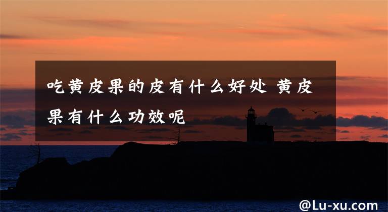 吃黄皮果的皮有什么好处 黄皮果有什么功效呢