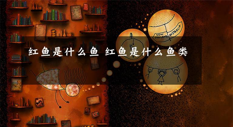 红鱼是什么鱼 红鱼是什么鱼类
