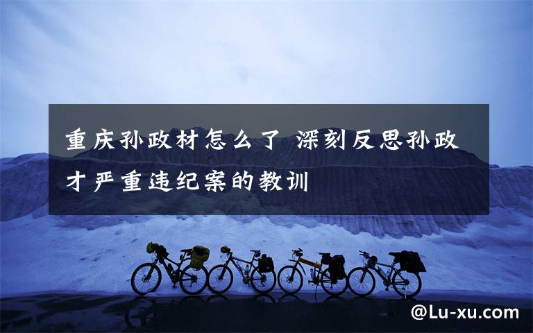 重庆孙政材怎么了 深刻反思孙政才严重违纪案的教训