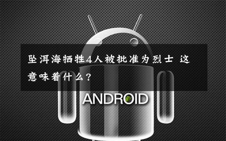 坠洱海牺牲4人被批准为烈士 这意味着什么?