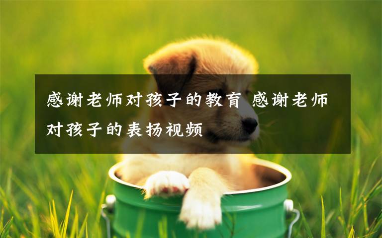 感谢老师对孩子的教育 感谢老师对孩子的表扬视频