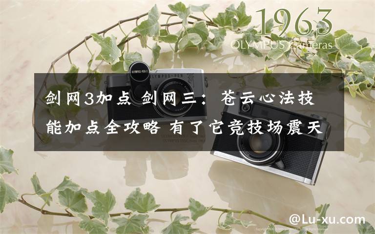 剑网3加点 剑网三:苍云心法技能加点全攻略 有了它竞技场震天撼地