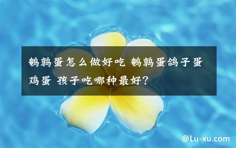 鹌鹑蛋怎么做好吃 鹌鹑蛋鸽子蛋鸡蛋 孩子吃哪种最好?