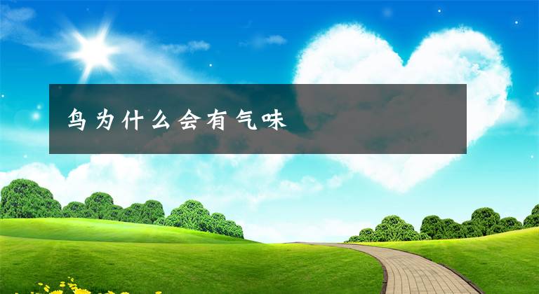 鸟为什么会有气味