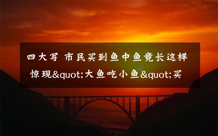 四大写 市民买到鱼中鱼竟长这样 惊现"大鱼吃小鱼"买一送四大写的值