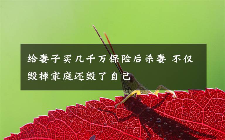 给妻子买几千万保险后杀妻 不仅毁掉家庭还毁了自己