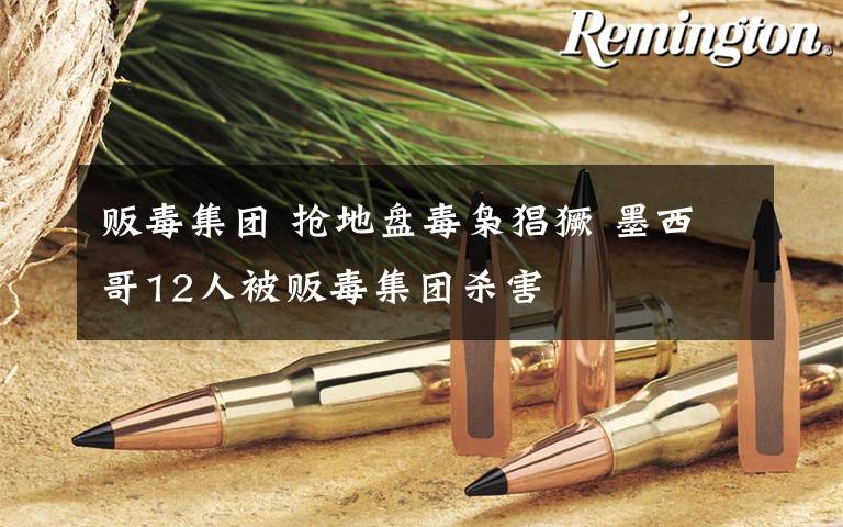 贩毒集团 抢地盘毒枭猖獗 墨西哥12人被贩毒集团杀害