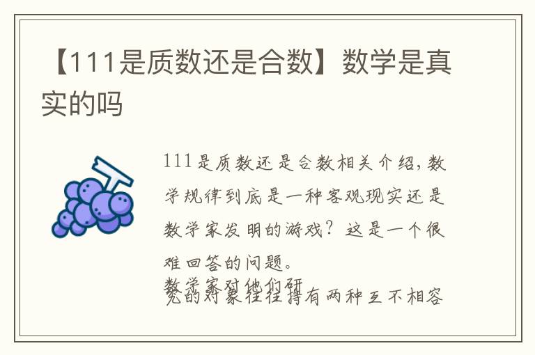【111是质数还是合数】数学是真实的吗