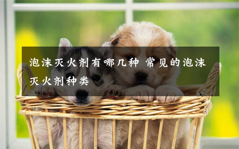 泡沫灭火剂有哪几种 常见的泡沫灭火剂种类