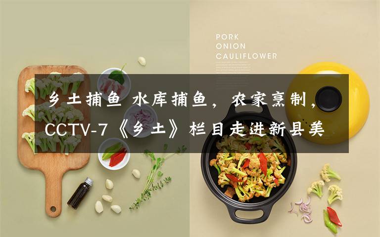 乡土捕鱼 水库捕鱼,农家烹制,CCTV-7《乡土》栏目走进新县美丽乡村西河,带您体验两道绝妙的信阳养生菜!