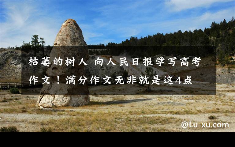 枯萎的树人 向人民日报学写高考作文!满分作文无非就是这4点