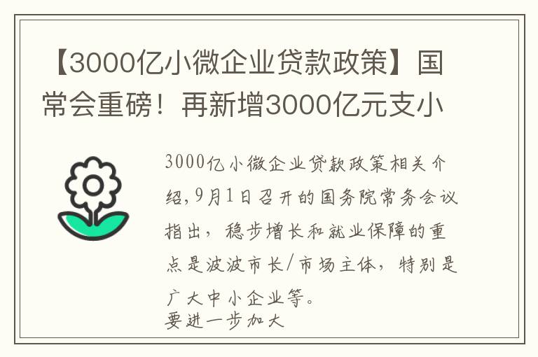 【3000亿小微企业贷款政策】国常会重磅!再新增3000亿元支小再贷款额度,发挥专项债作用带动扩大有效投资