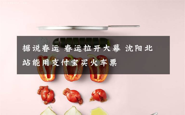据说春运 春运拉开大幕 沈阳北站能用支付宝买火车票