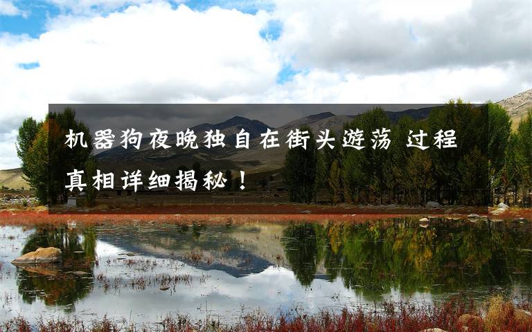 机器狗夜晚独自在街头游荡 过程真相详细揭秘!