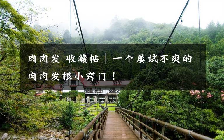 肉肉发 收藏帖｜一个屡试不爽的肉肉发根小窍门！