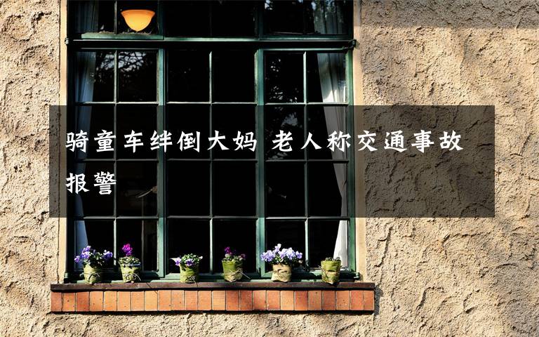骑童车绊倒大妈 老人称交通事故报警