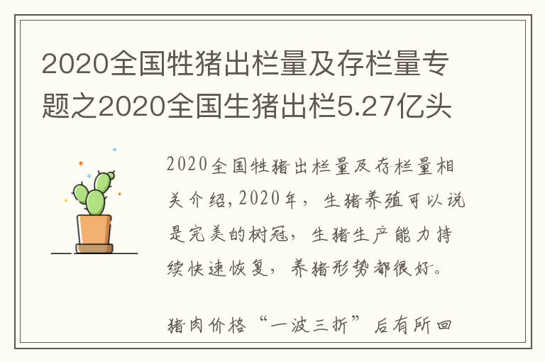 2020全国牲猪出栏量及存栏量专题之2020全国生猪出栏5.27亿头,13家猪企占比10.53%