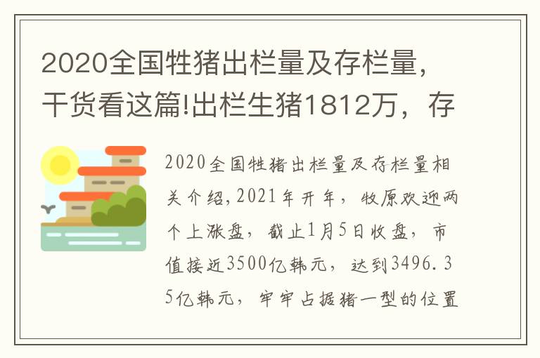 2020全国牲猪出栏量及存栏量,干货看这篇!出栏生猪1812万,存栏母猪262万…牧原稳居养猪一哥