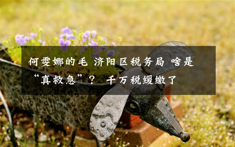 何雯娜的毛 济阳区税务局 啥是“真救急”? 千万税缓缴了