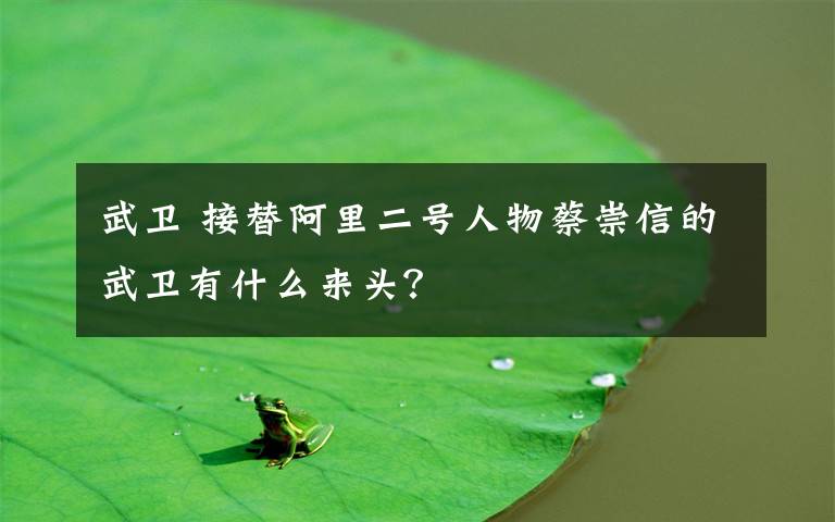 武卫 接替阿里二号人物蔡崇信的武卫有什么来头?