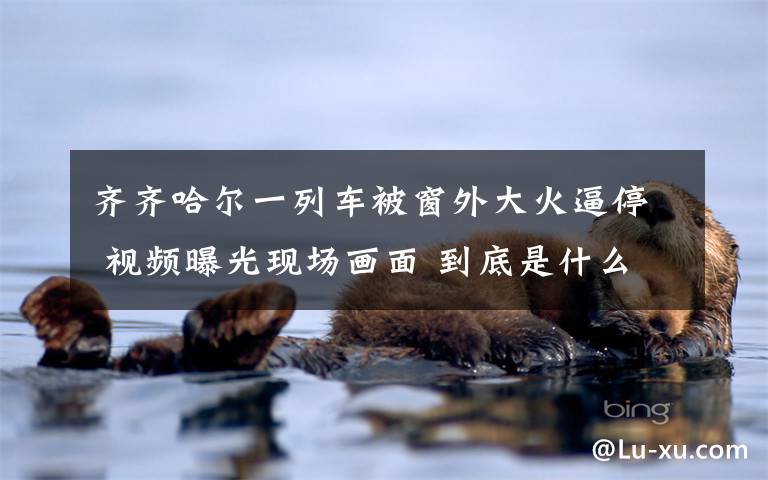 齐齐哈尔一列车被窗外大火逼停 视频曝光现场画面 到底是什么状况?