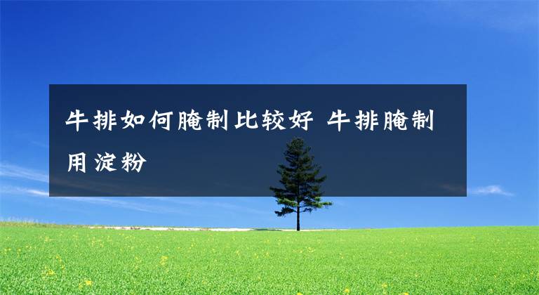 牛排如何腌制比较好 牛排腌制用淀粉