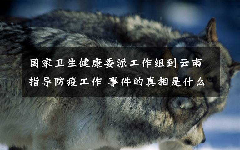 国家卫生健康委派工作组到云南指导防疫工作 事件的真相是什么?