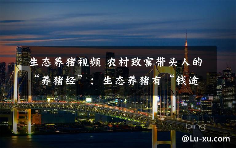 生态养猪视频 农村致富带头人的“养猪经”：生态养猪有“钱途”