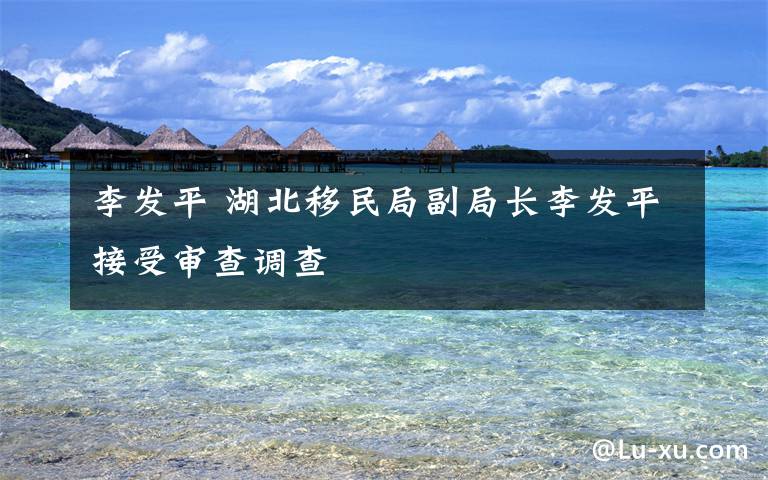 李发平 湖北移民局副局长李发平接受审查调查