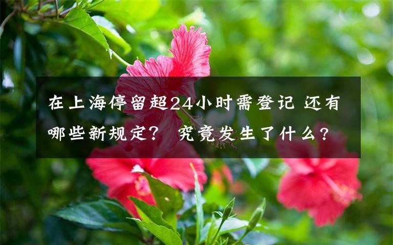 在上海停留超24小时需登记 还有哪些新规定? 究竟发生了什么?