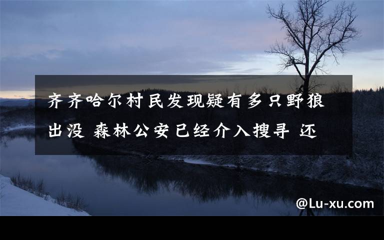 齐齐哈尔村民发现疑有多只野狼出没 森林公安已经介入搜寻 还原事发经过及背后真相！