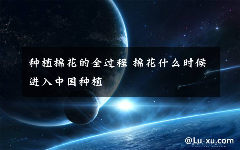 种植棉花的全过程 棉花什么时候进入中国种植