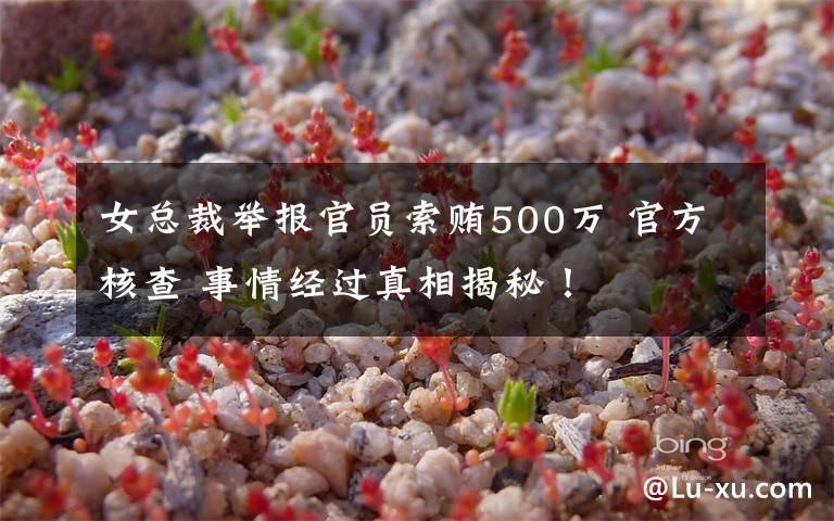 女总裁举报官员索贿500万 官方核查 事情经过真相揭秘!